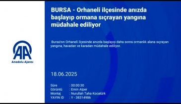 Bursa'nın ciğerleri yanıyor! Bir orman yangını daha...