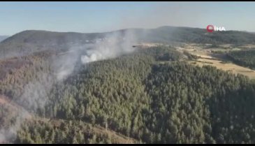 Bursa'da yangın sonrası yemyeşil orman küle döndü!