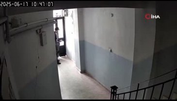 Şoke eden hırsızlık olayı! Poşete doldurup...