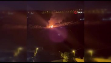 Bursa'da zeytinlik cayır cayır yandı! Gece yarısı korkutan anlar...