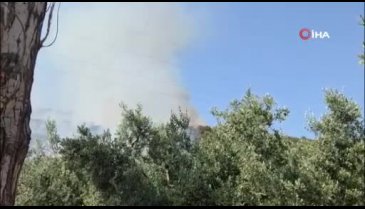 Bursa'da çıkan orman yangınına havadan karadan müdahale!