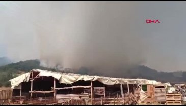Bursa'da biri bitmeden diğeri başlıyor! Aynı bölgede 3. yangın