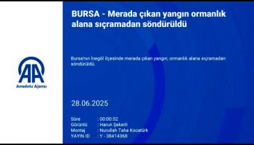 Önüne geçilemiyor! Bursa'da bir yangın daha