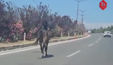 Bursa'da trafikte şoke eden anlar! Araçlar ile yarıştı