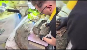 Türkiye'de satılıyor! Görüntü izleyenleri ikiye böldü: Bunu nasıl yiyorlar?