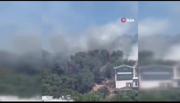 Bursa'da bir yangın daha çıktı! Yerleşim yerinin çok yakınında...