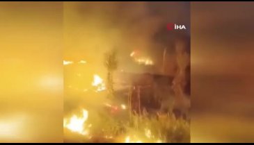 Bursa'da ormanlık alanda yangın!