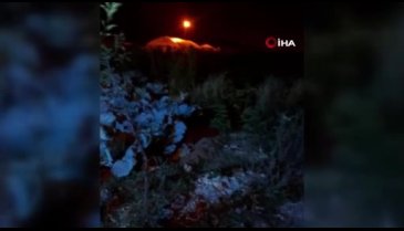 Bayburtlu vatandaşın ürkek tilkiyle imtihanı: Uzun uğraşlar sonunda...