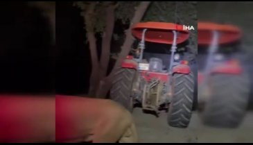 Hayvan parkından kaçan aslan fıstık bahçesinde uyuyan çiftçiye saldırdı