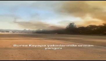 Bursa'da büyük yangın! Dumanlar her yeri kapladı