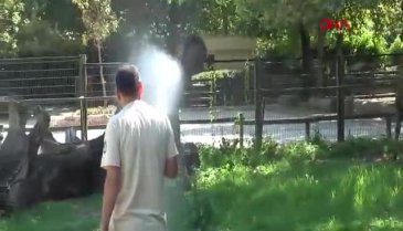 Bursa'da çöl sıcakları etkili oldu! Hortumla serinlediler