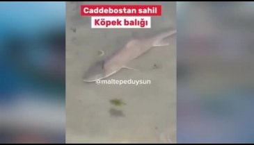 Burası Okyanus değil Marmara denizi! Bakanlar gözlerine inanamadı