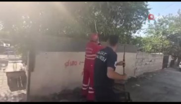 Evinin bahçesine yılan girdi