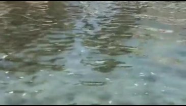 Ünlü oyuncu isyan etti! "Deniz idrar rengine dönüş!"