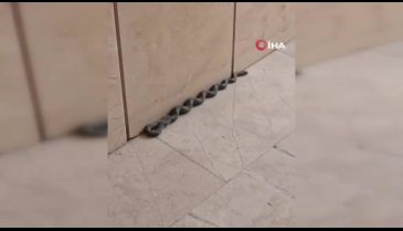 Buzdolabı motoruna giren yılanı itfaiye çıkardı