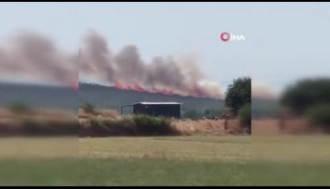 Bursa'da korkutan yangın! Havadan ve karadan müdahale...