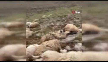 Yaylaya yıldırım düştü! Olanlar oldu...