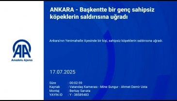 Başıboş köpek dehşetinin son durağı bu kez Ankara!