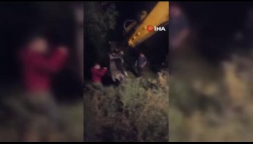 Kars'ta gece saatlerinde 'inek' operasyonu!