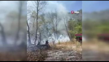 İznik'te orman yangını