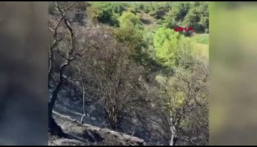 Bursa'da tarım arazisinde çıkan yangın söndürüldü