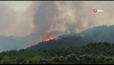 Yangın büyüyor! Akaryakıt istasyonu kapatıldı