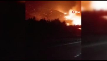 Bursa'nın yanı başında alevler dinmiyor! Bir köy daha...
