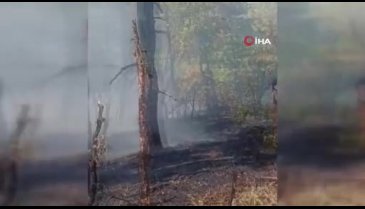 Yangında şehit olan ekibin son görüntüsü ortaya çıktı