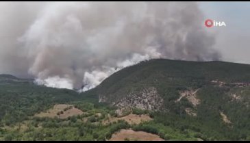 Orman yangınında alevler yerleşim yerlerine doğru ilerliyor