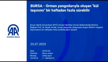 Bursa'da üniversiteden uzman uyardı: Doğal denge bozuluyor