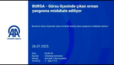 Bursa'da bir orman yangını daha! Yerleşim yerine çok yakın...