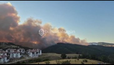 Bursa'da bir orman yangını daha! Yerleşim yerine çok yakın...