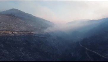Bursa'da o mahalle yangından tahliye edilmişti! Peki son durum ne?&nbsp;