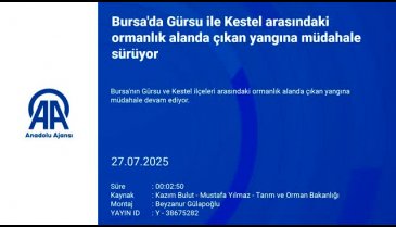 Bursa'da alevlere havadan müdahale