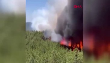 Bursa'da alevlerle mücadele! İki köy daha tahliye ediliyor!