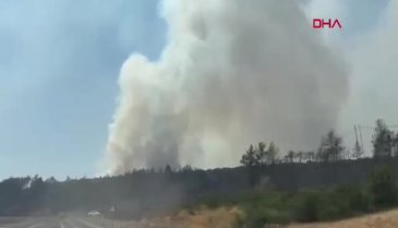 Bursa yine alevlere teslim! Yangın başka alana sıçradı...