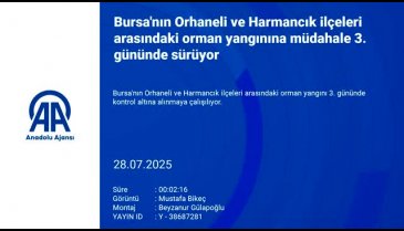 Bursa yine alevlere teslim! Yangın başka alana sıçradı...