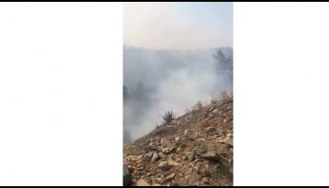 Bursa'daki yangında göz gözü görmüyor! Canla başla mücadele ediyorlar