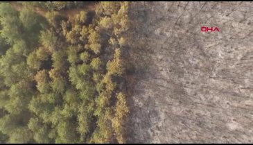 O eski halinden eser yok şimdi! Yeşil Bursa griye döndü