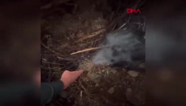 Bursa'da ormanları yakan kundakçının peşine düştüler! Koşarak kaçtı...