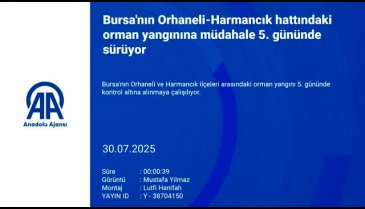 Bursa'daki yangın beşinci gününde!