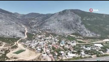 Bursa artık yeşil değil! Ormanlar böyle karardı...