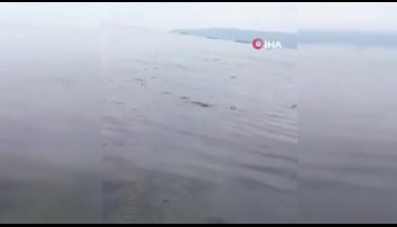 Bursa'da utandıran manzara! Resmen çöplüğe döndü...