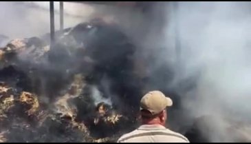 Büyükorhan'da yangın! BUSKİ personeli takdir topladı