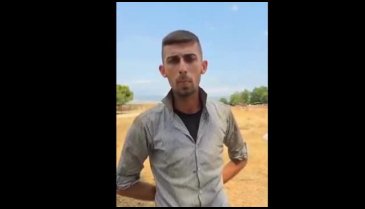 Bursa'da mahsulünü hayvanlara yem eden üreticiye şok!