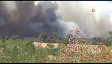 Alevler koca şehri sardı! Köyler, hastaneler tahliye ediliyor...