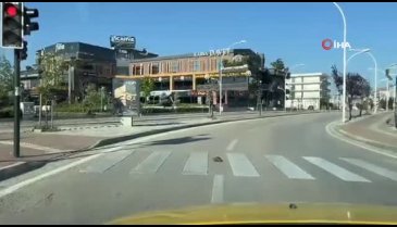 Kaplumbağa yaya geçidinden geçti, kurallara uymasıyla vatandaşlara örnek oldu