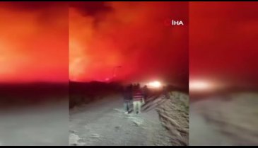Hatay'da orman yangını