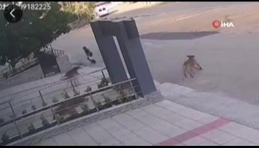 Bursa'da son anda kurtuldular! O anlar kamerada...