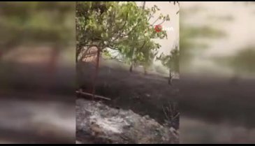 Bursa'da yangın büyüyor! Büyükşehir'den açıklama